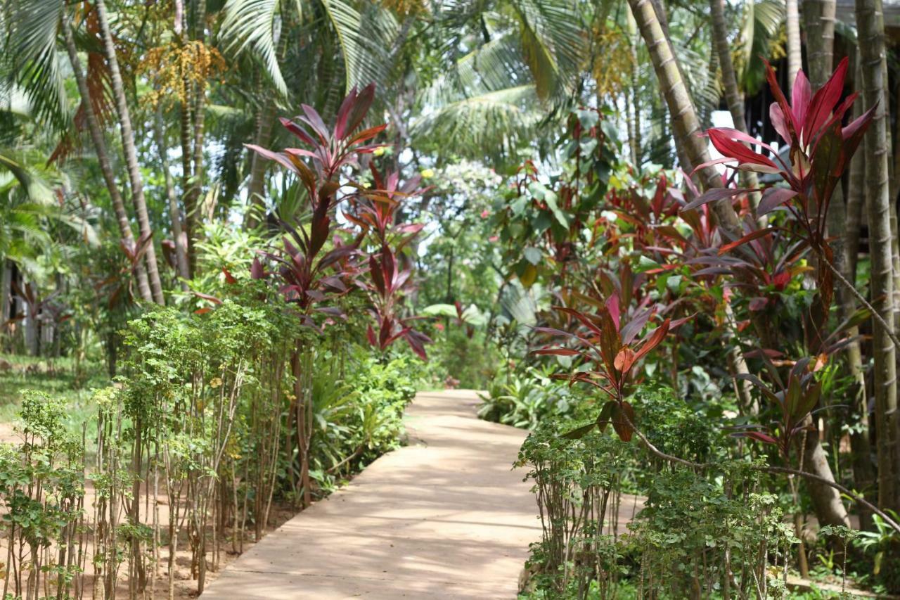 Mame Trees Hotel เวสต์เอนด์ ภายนอก รูปภาพ